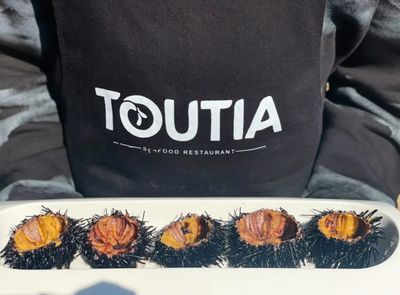 Toutia