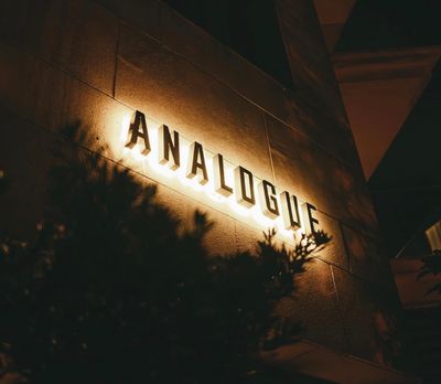 Analogue