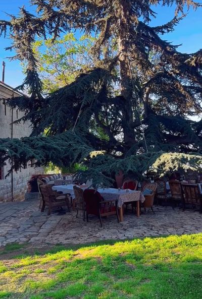 Chateau du Comte