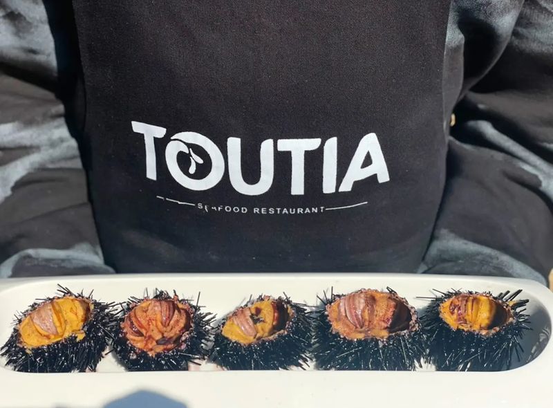 Toutia