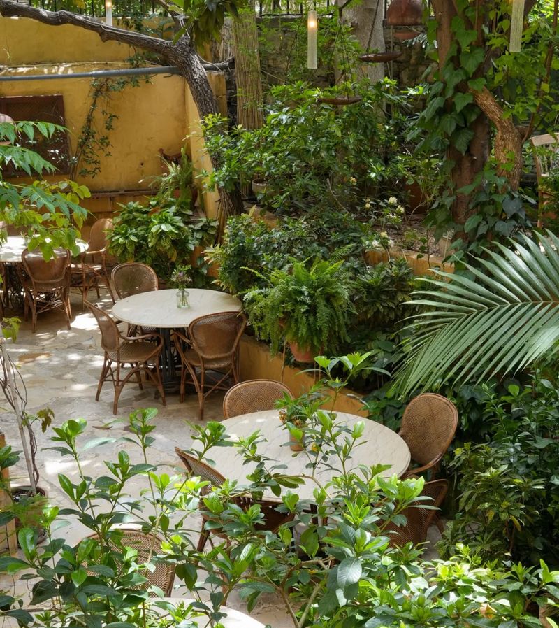 BEYt Garden Cafe