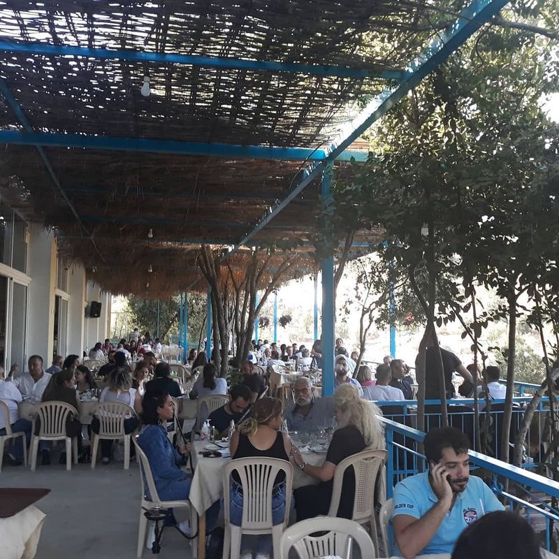 Amar El Dar
