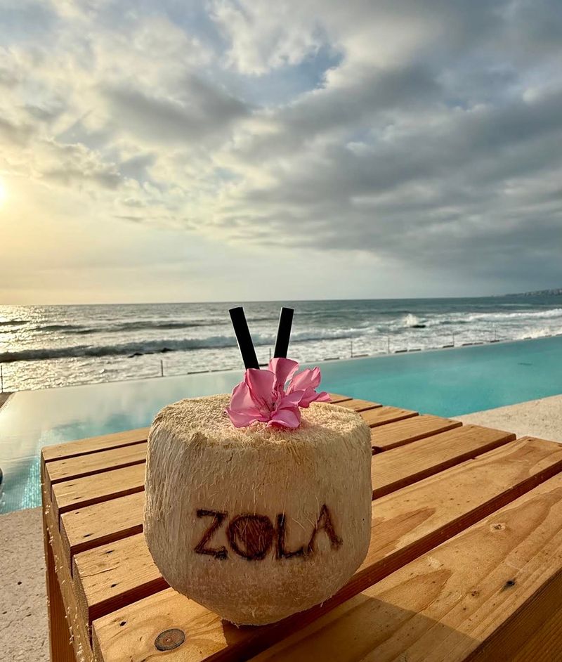 Zola by the sea