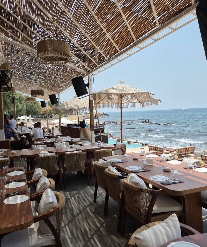 Zola by the sea