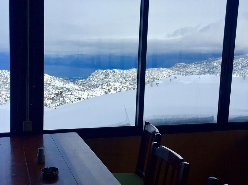 Restaurant Rosy